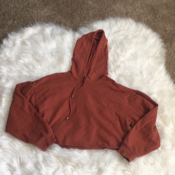 SOLD-Crop Top Hoodie - Picture 4 of 4